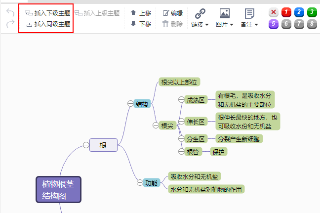 植物根莖結構思維導圖模板分享