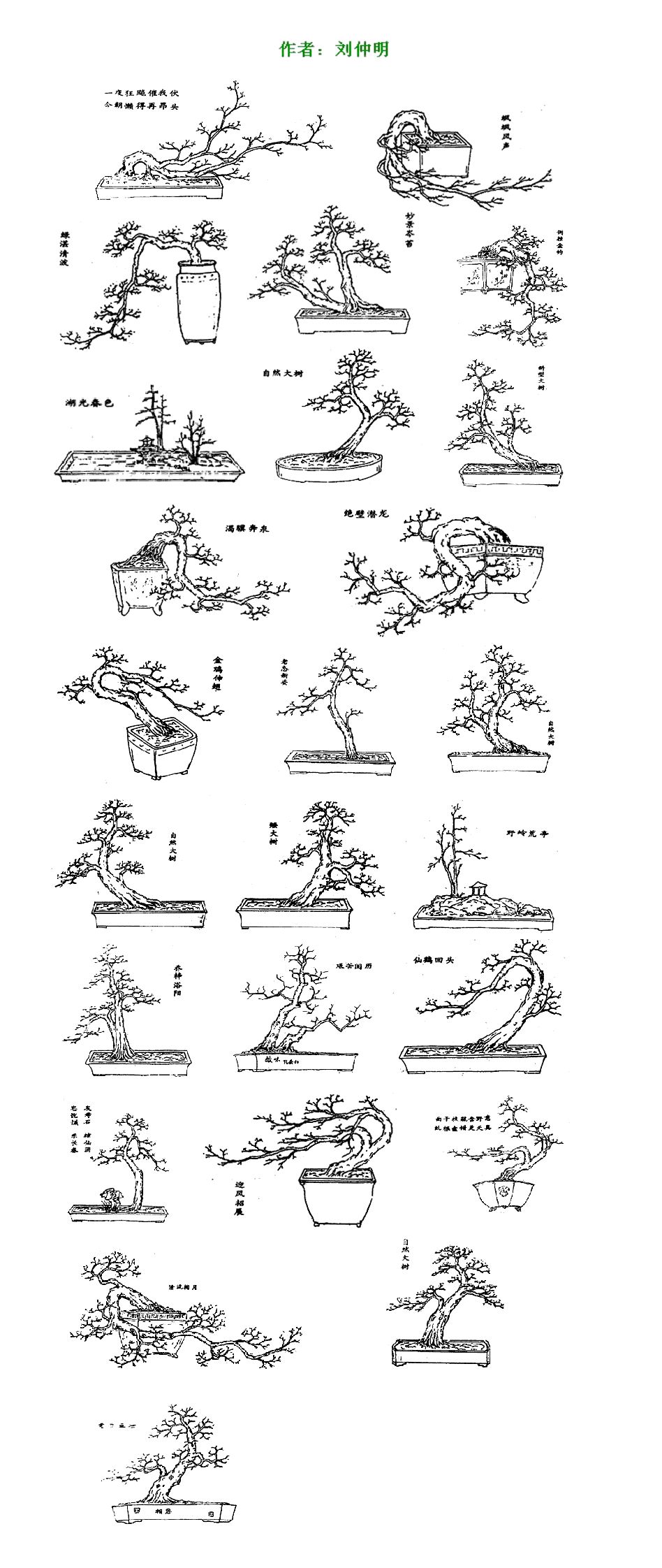 岭南派盆景传统技法图片