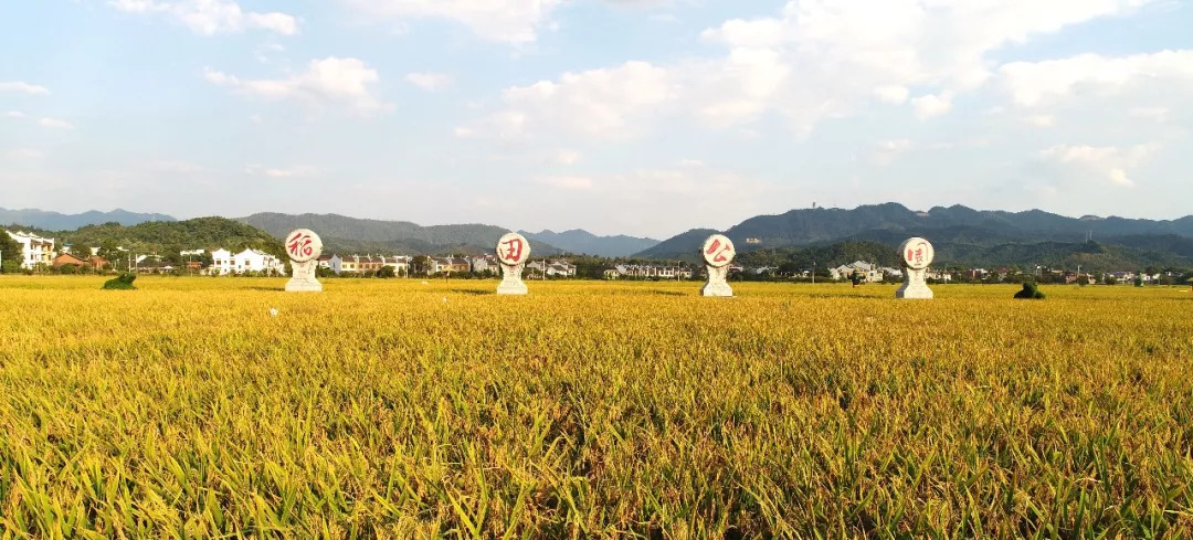 稻田公园地图图片