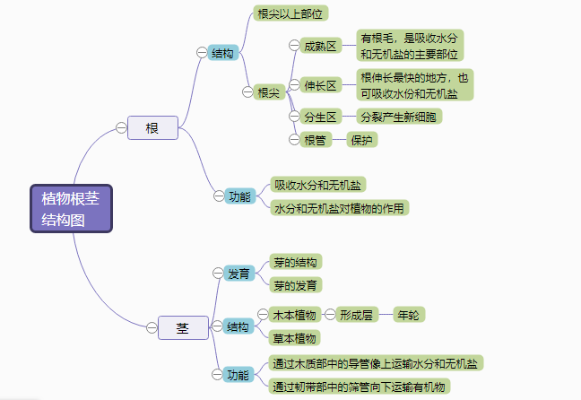 植物营养思维导图图片