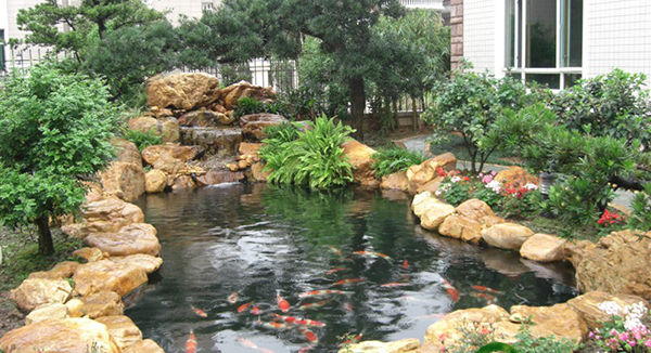 10个花园锦鲤鱼池案例,你们看看这些鱼池设计的咋样?