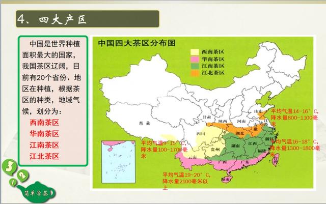 四大茶叶产区:茶树生长需要适宜的环境,中国幅员辽阔,因为气候环境,有