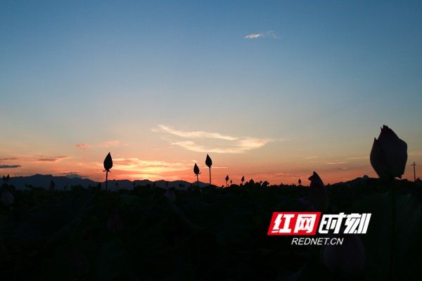 藍山:鄉村晚霞不勝美_落日