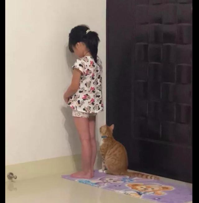 女儿被罚站在墙角反省,猫咪看见后也陪着她一起站着,好有爱!