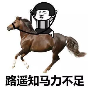 小姐姐深夜上海市中心騎馬昨晚騎馬來的今天馬坐車走了