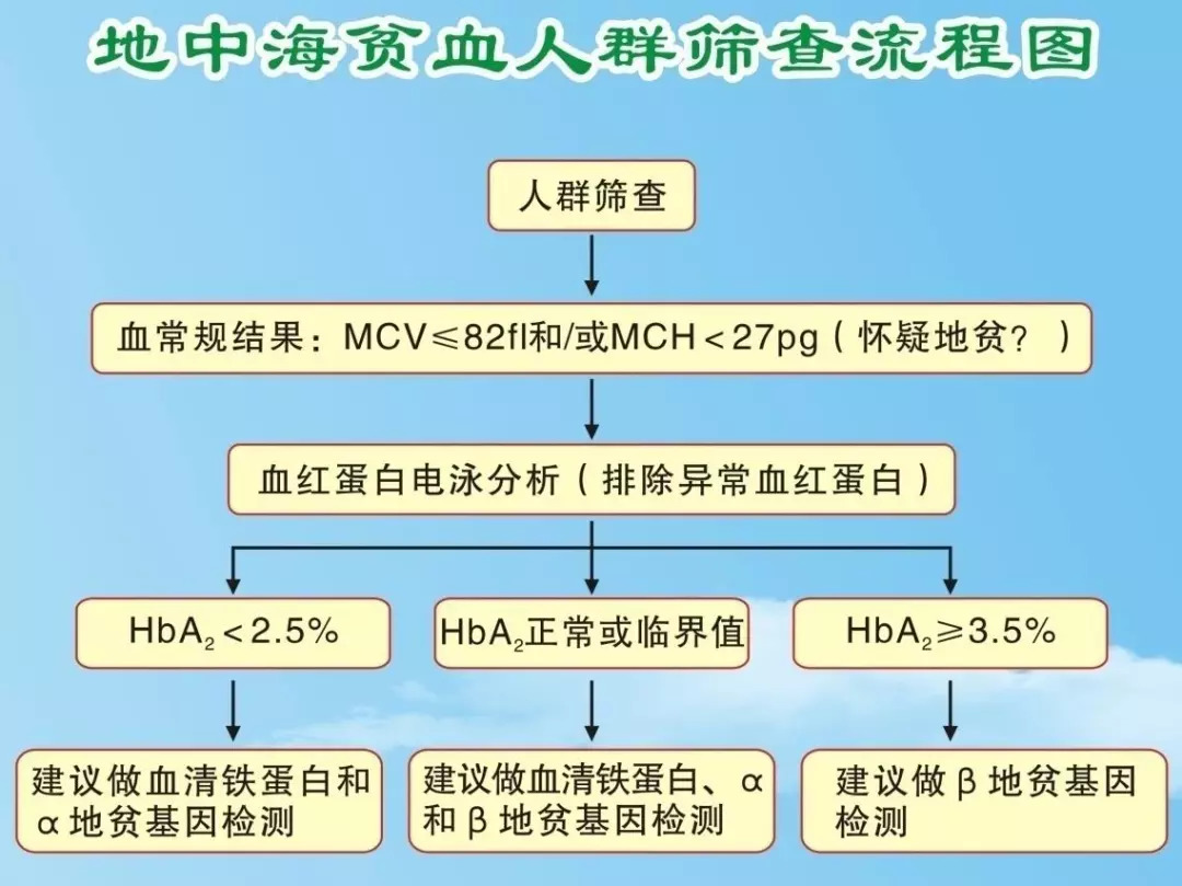 地貧基因遺傳圖和地貧人群篩查流程圖什麼是地中海貧血?