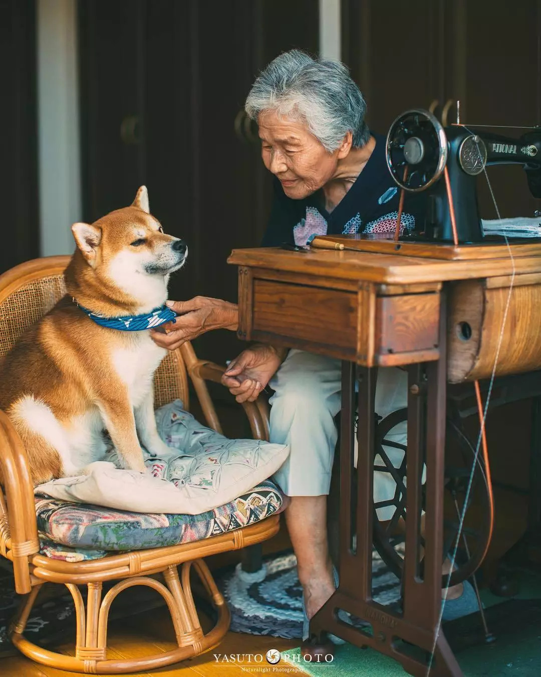 这位老人和狗狗的照片,又一次在国外刷了屏!_柴犬