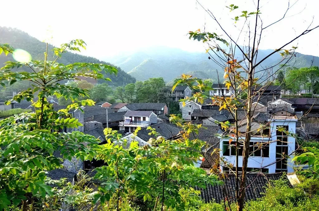 遍地的神祗┃一庙一故事三州乡下屋村赛雨庙