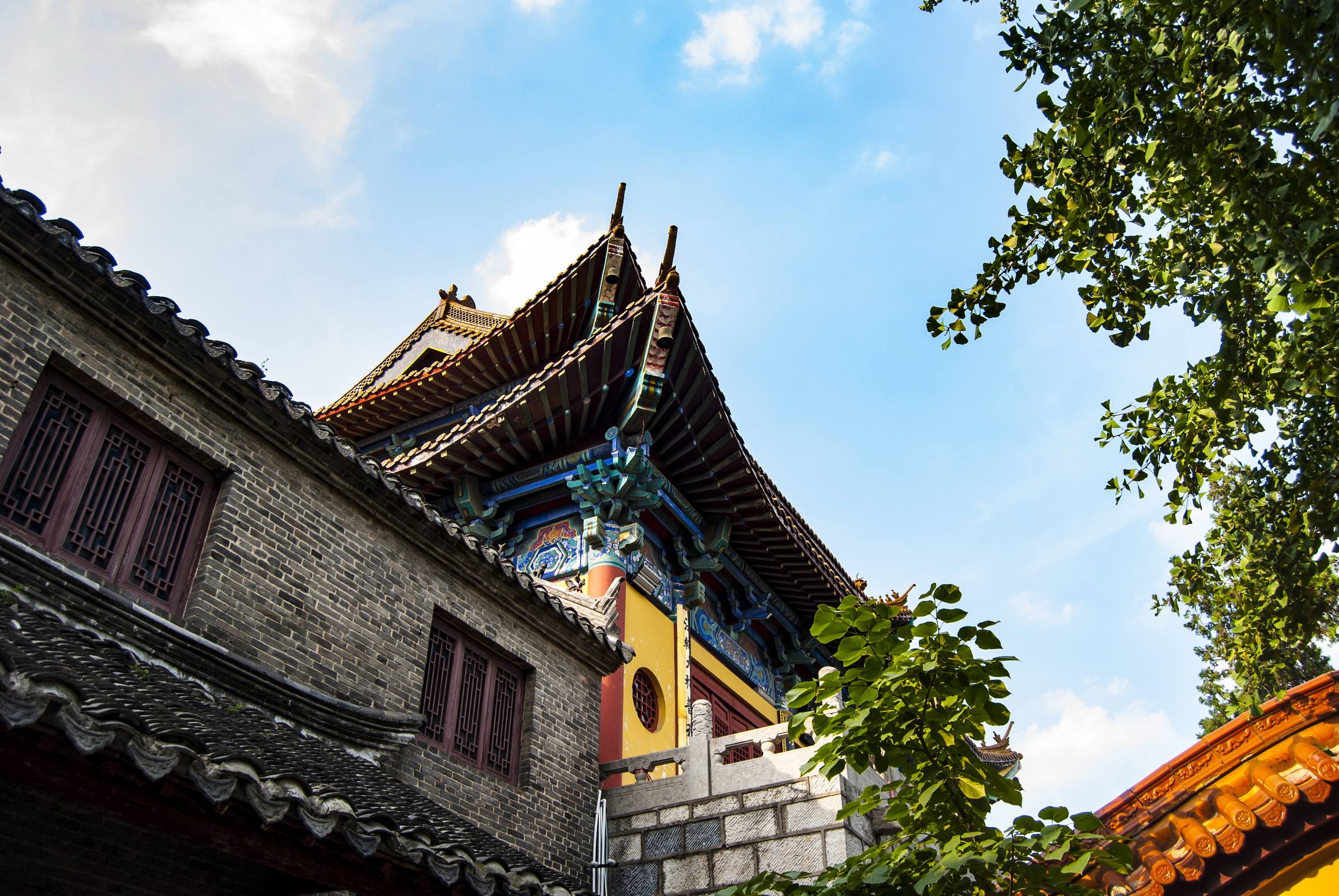 走进云龙山的兴化禅寺,寻找徐州60岁四照花和300多年的瓜子黄杨