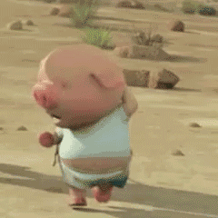 一只小猪跑过来表情包图片