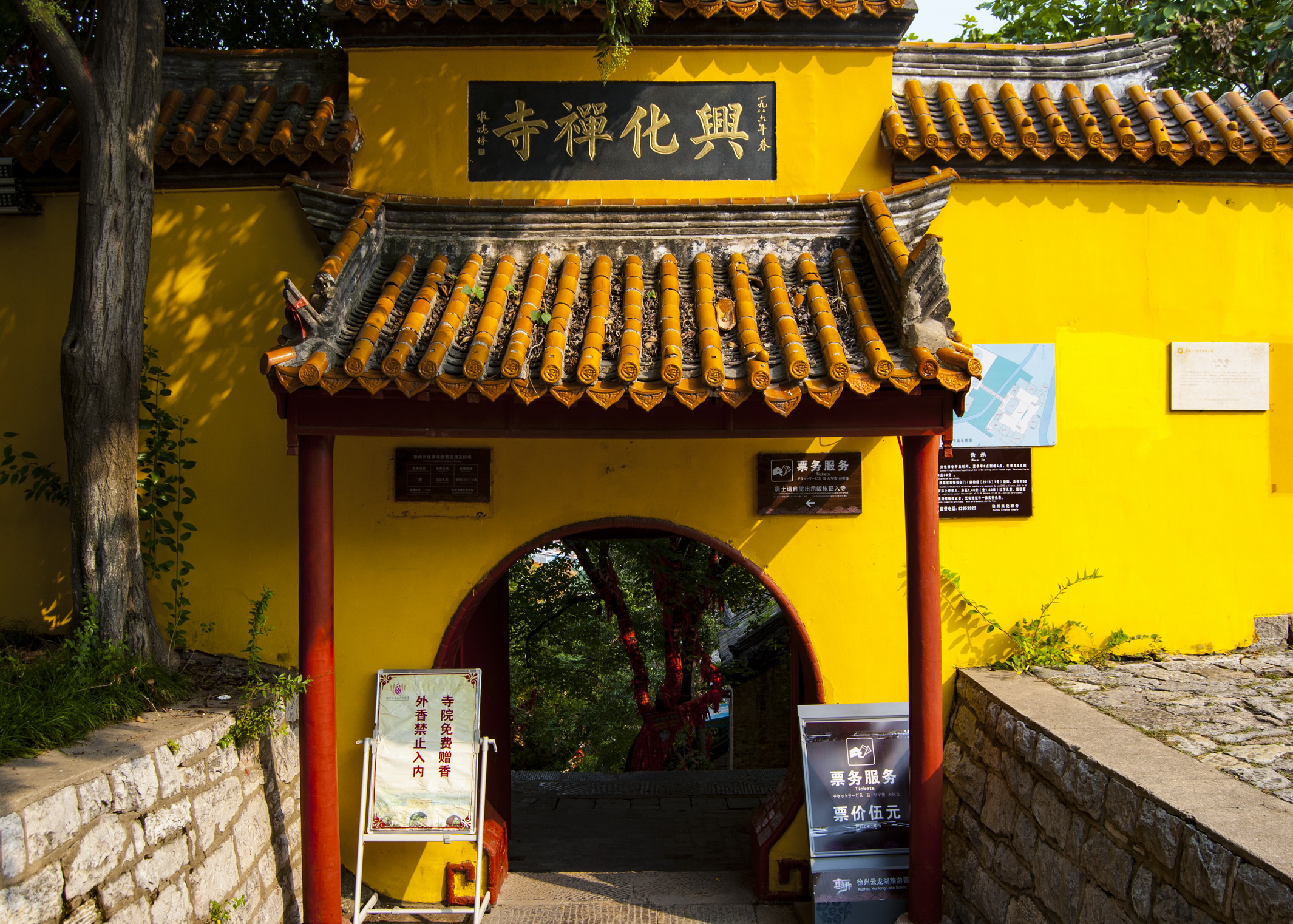 走进云龙山的兴化禅寺,寻找徐州60岁四照花和300多年的瓜子黄杨