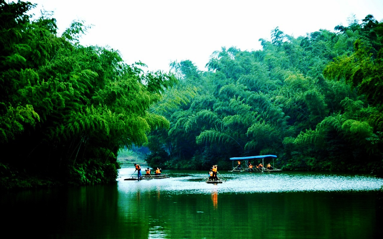 中国最壮观的竹海—蜀南竹海,果然名不虚传