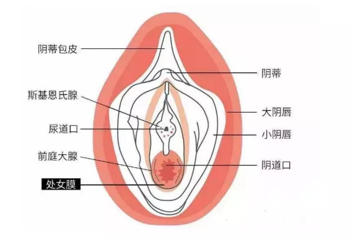 第一次怎么找到孔图片