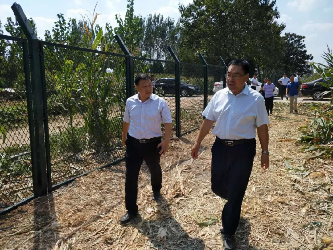 副区长杨光磊检查指导建业绿色基地农业综合体项目建设工作