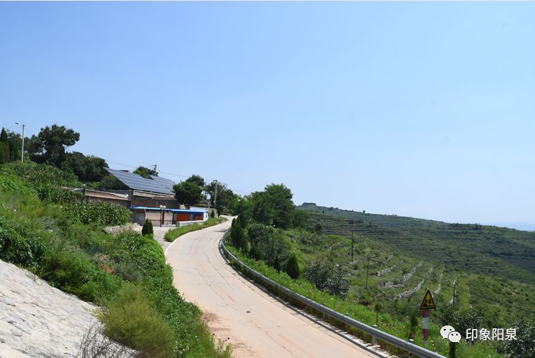 平定县西头岭首届土豆文化节9月16日启动_岔口乡