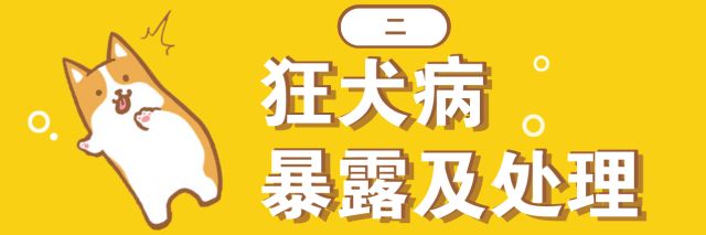 被狗咬出血了要打狂犬疫苗被人咬出血了打不打狂犬疫苗呢