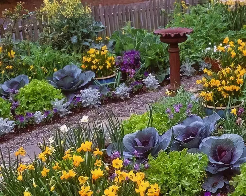 花园就是菜园,菜园就是花园