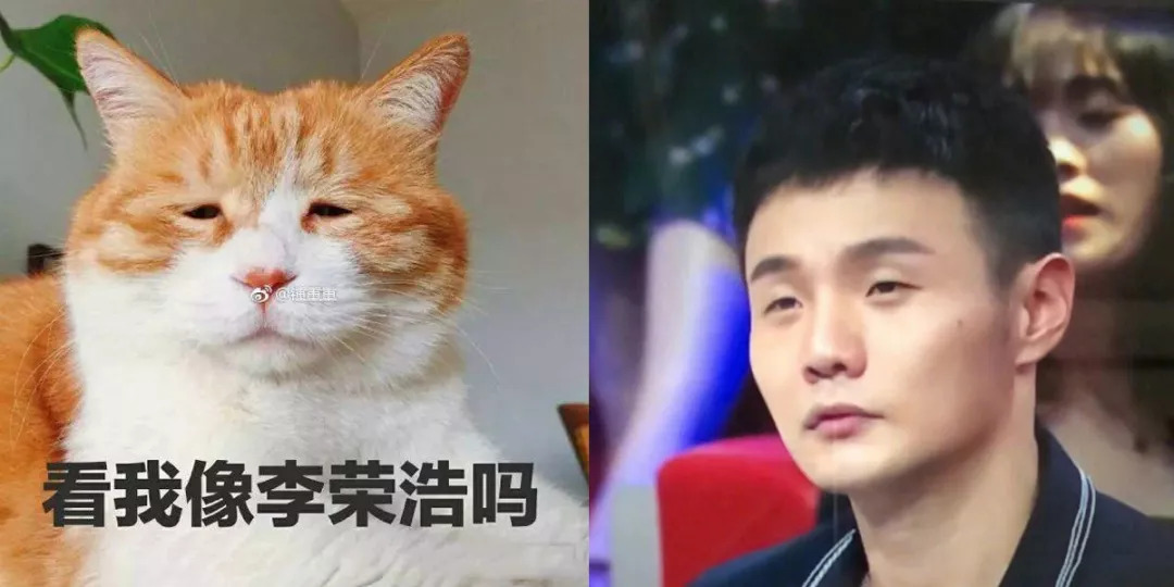 最容易撞脸猫咪男歌手不得不说李荣浩应该是top1 猫与李荣浩有请长得