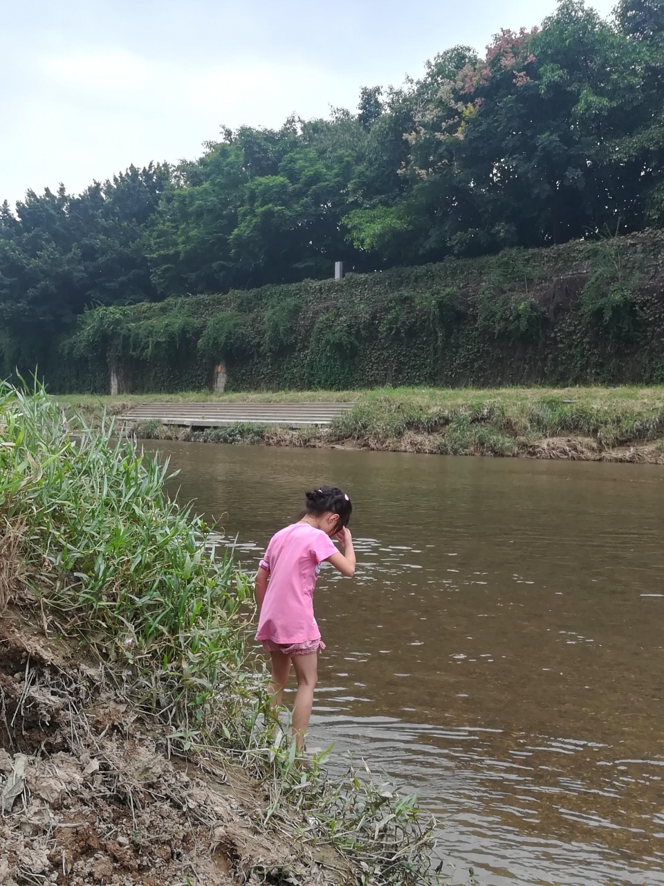 深圳龍崗河雨過天晴可愛小女孩撈魚兒玩石頭