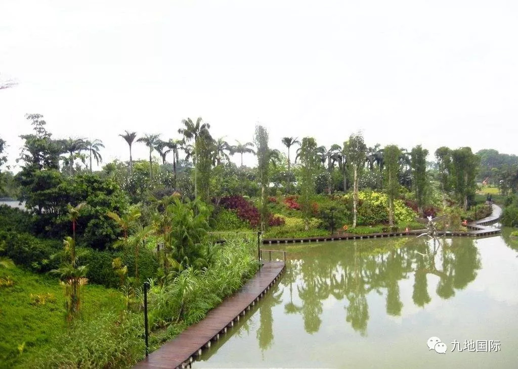 濱水景觀 | 現代城市濱水公園景觀規劃設計方法_植物