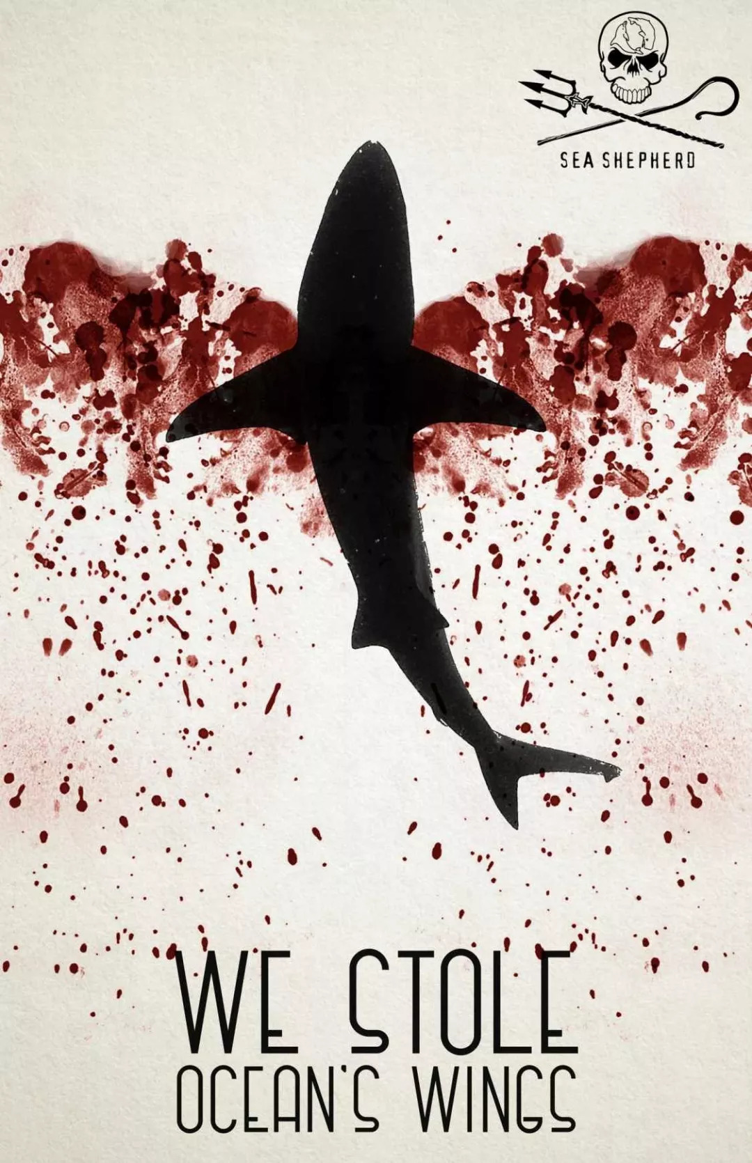 保护鲨鱼的英文海报图片