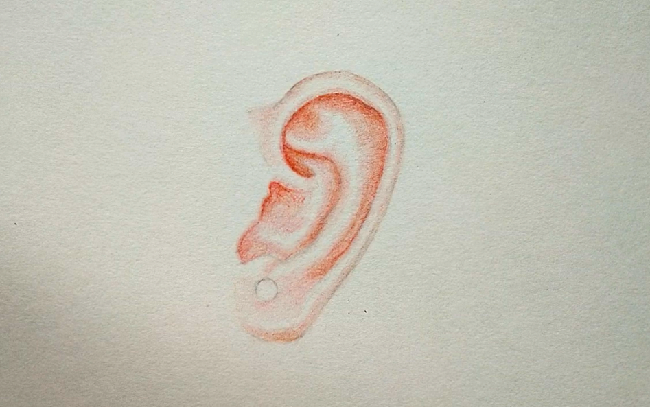 人物五官耳朵的彩铅画法,详细图文教程出炉,你也可以做到!