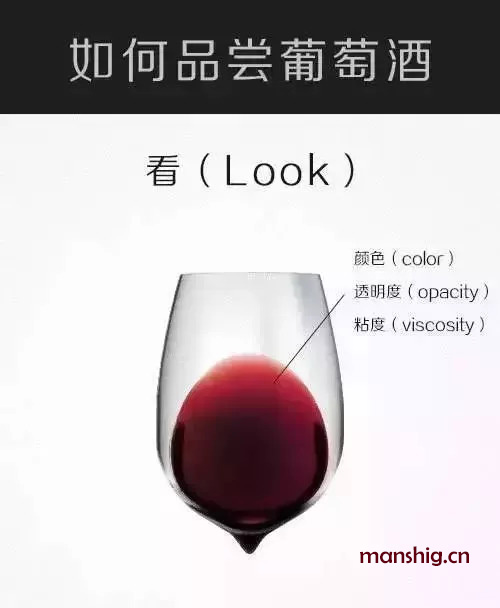 红酒酒具使用方法图解图片
