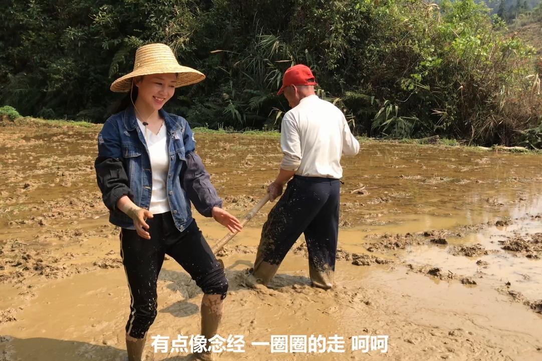 農村水稻播種農村小妹又可以玩泥巴了你們是這樣踩泥漿的嗎