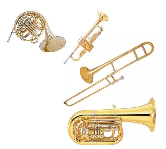 铜管乐器有哪些种类图片