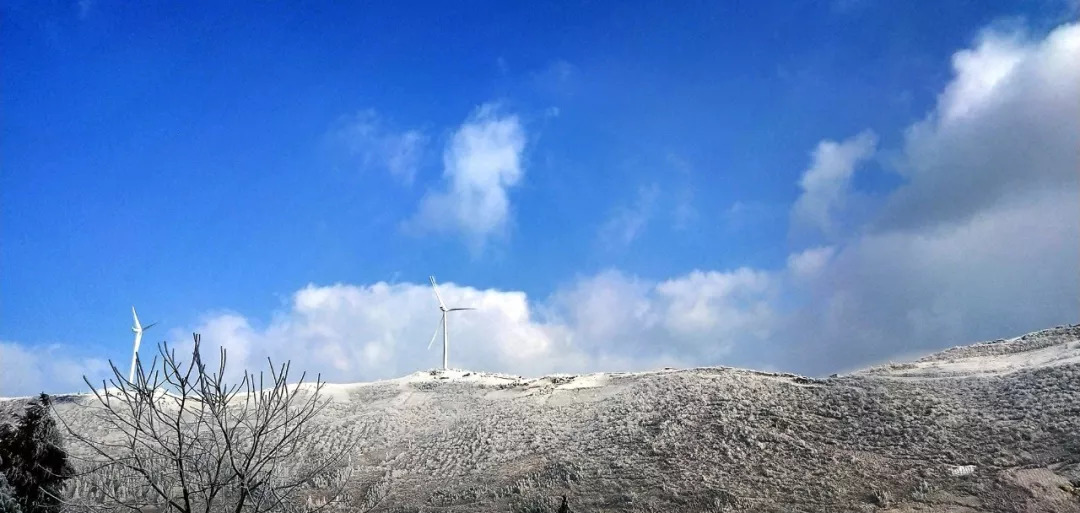 齐岳山今天下雪了真相是