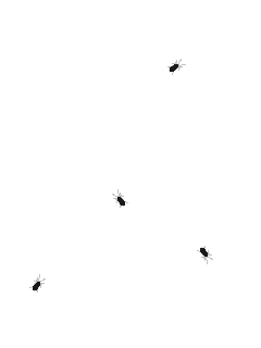 爬行的蟑螂动图图片