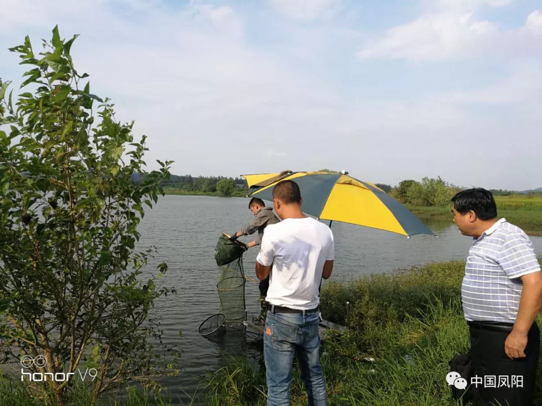 凤阳县燃灯水库有多大图片