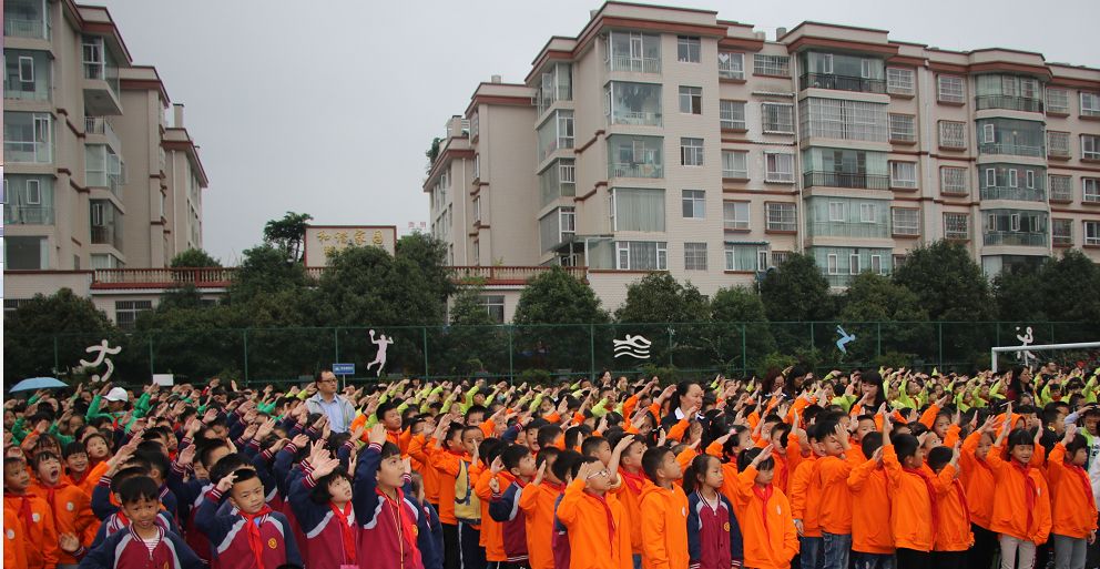 嵩阳小学图片