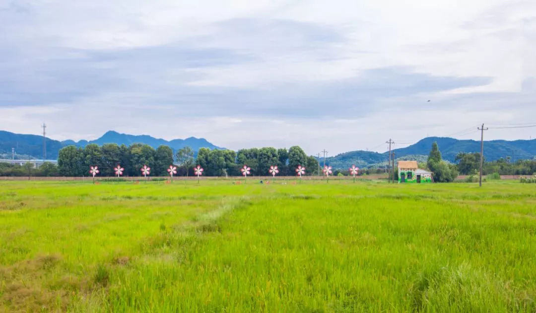 龙坞工业园区转型升级,龙坞兔子山生态公园提升改造及杭州市西湖第一