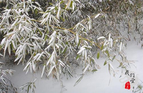 朱元璋咏雪竹图片