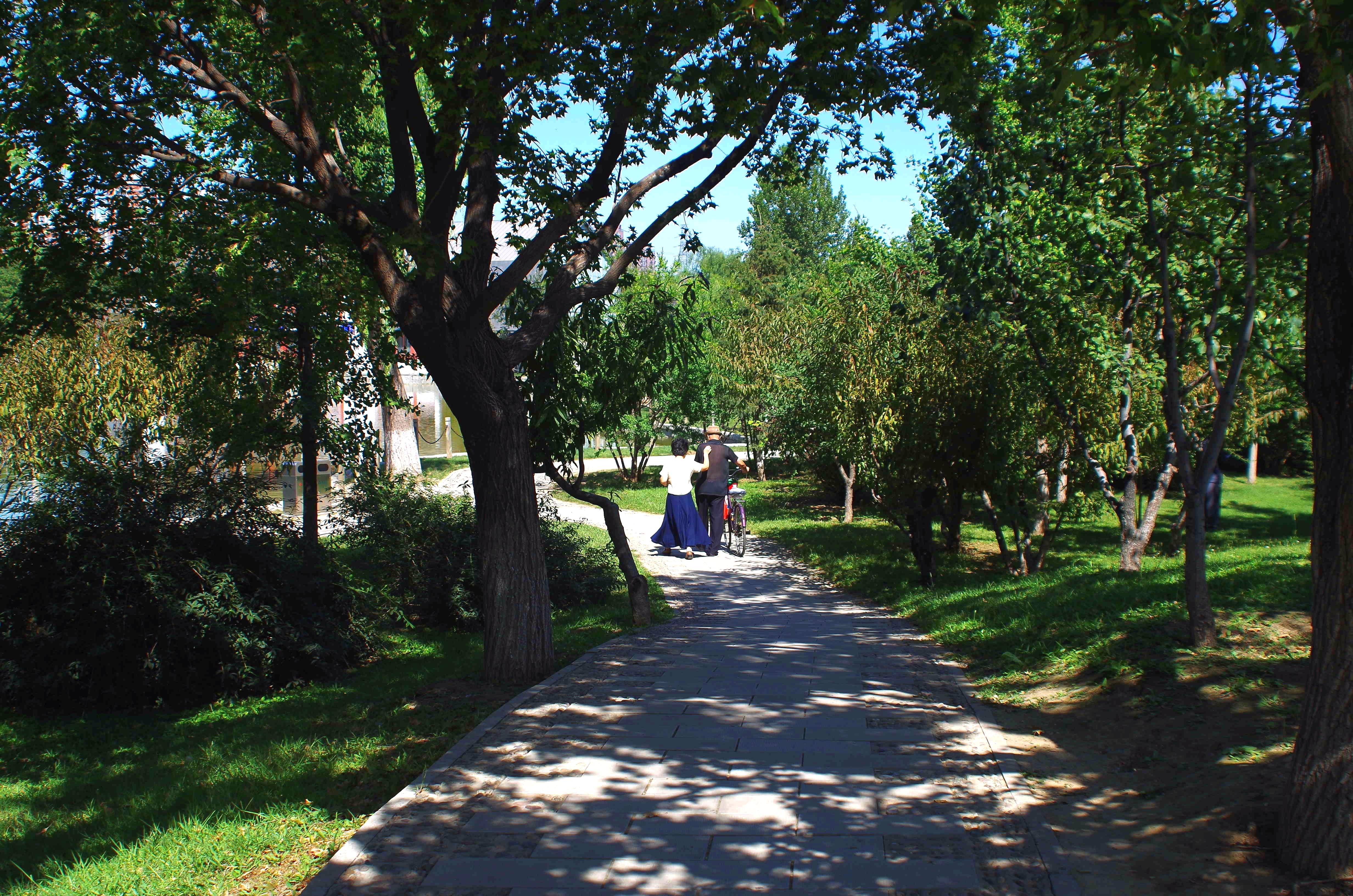 閒走北京之梨園主題公園-藝術館與公園的結合(通州區)