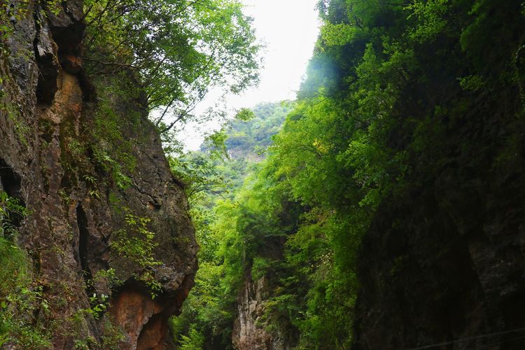 南阳羊山图片