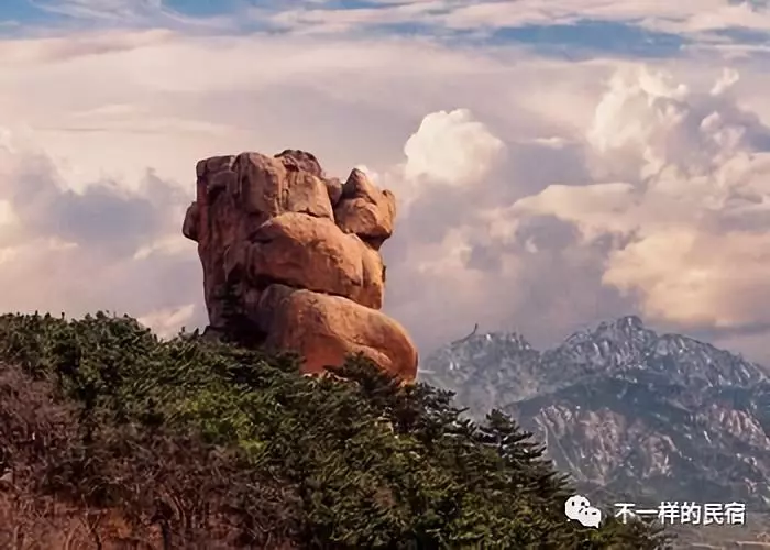 崂山十二景唯一的图片