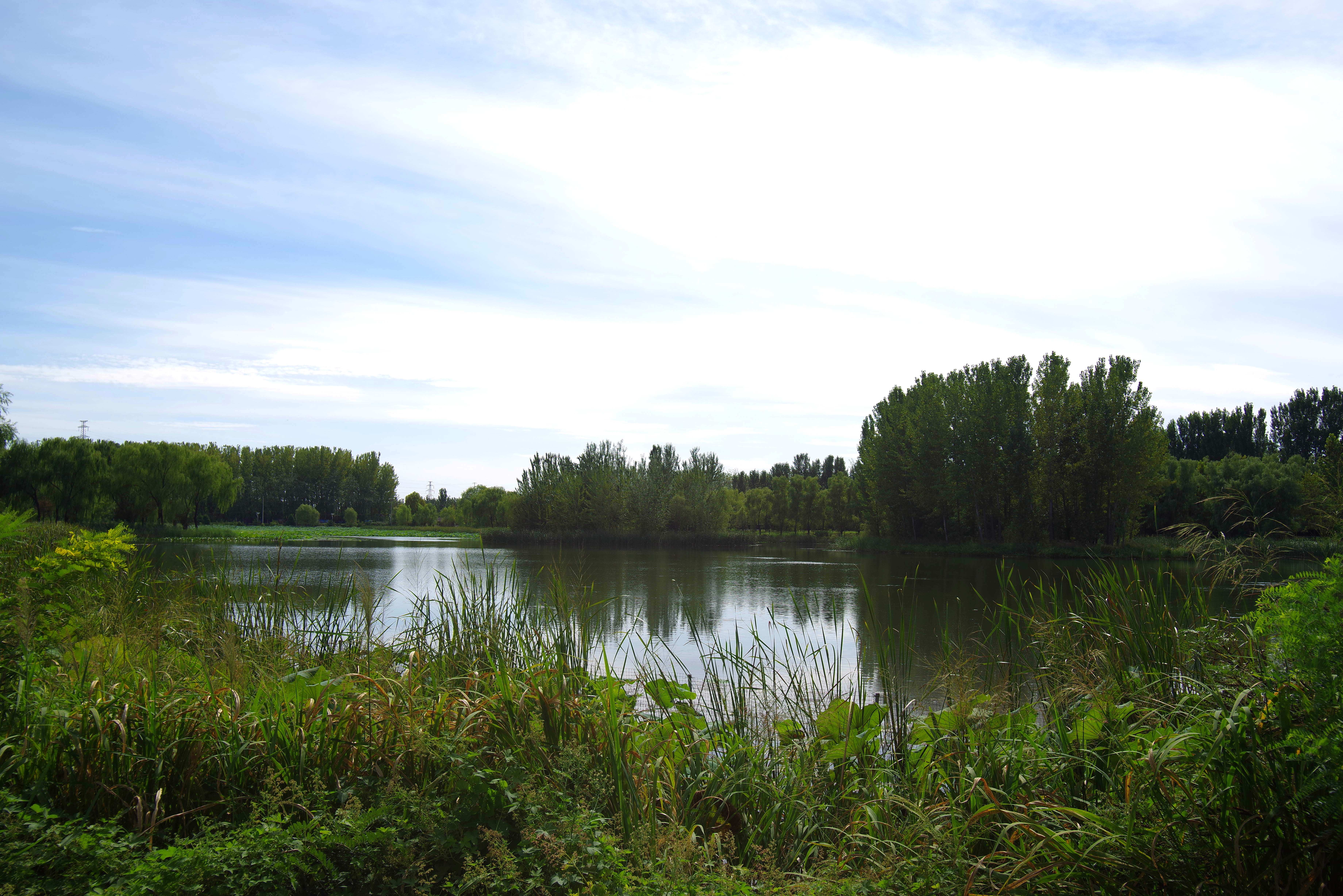 闲走北京之长沟国家湿地公园