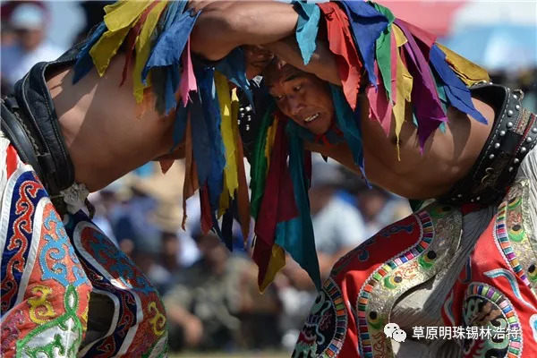 草原壮汉图片