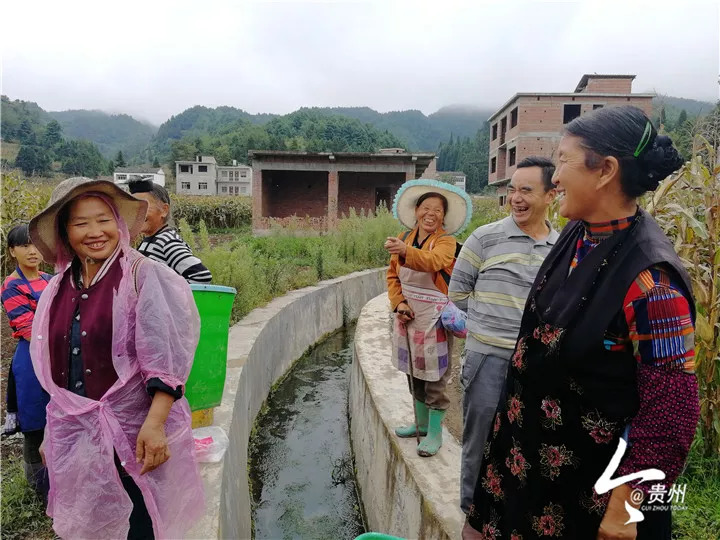 建好广州"菜篮子,大方县狮子村乡亲们的腰包鼓起来!