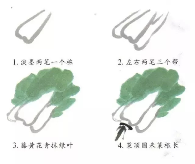 大白菜水墨画法步骤图片