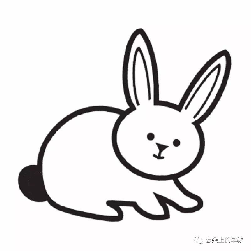 第8周主題小班兔子rabbit大班海豹seal