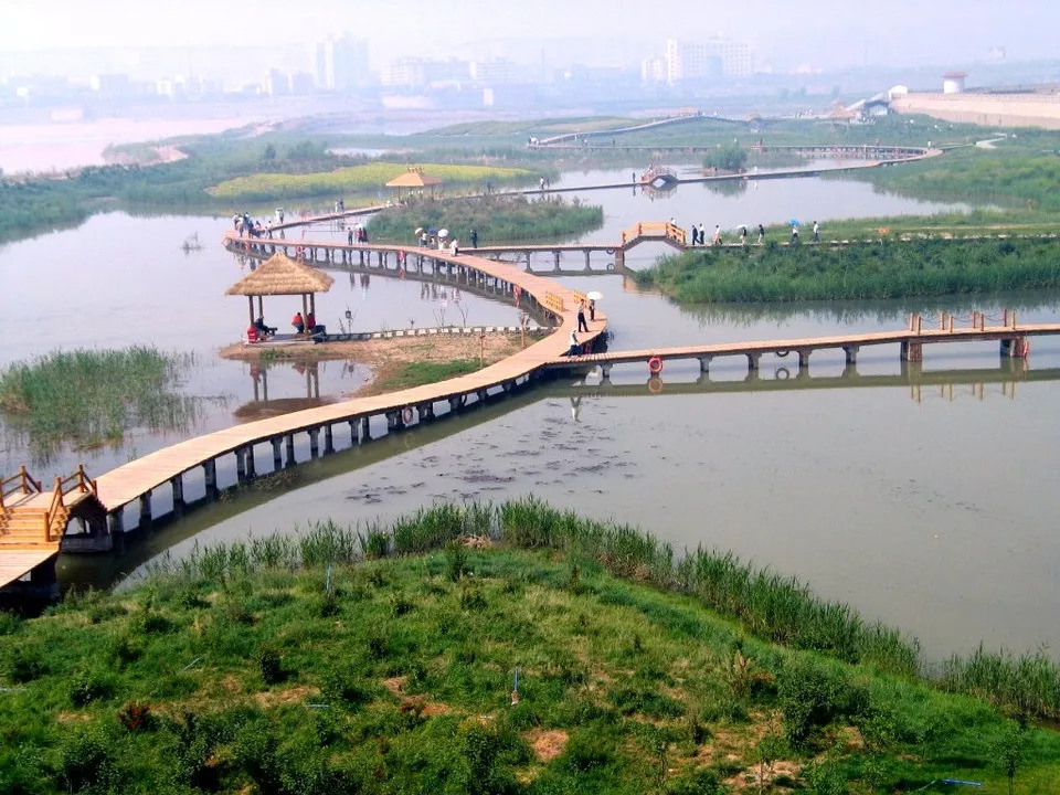 郑州黄河国家湿地公园位于