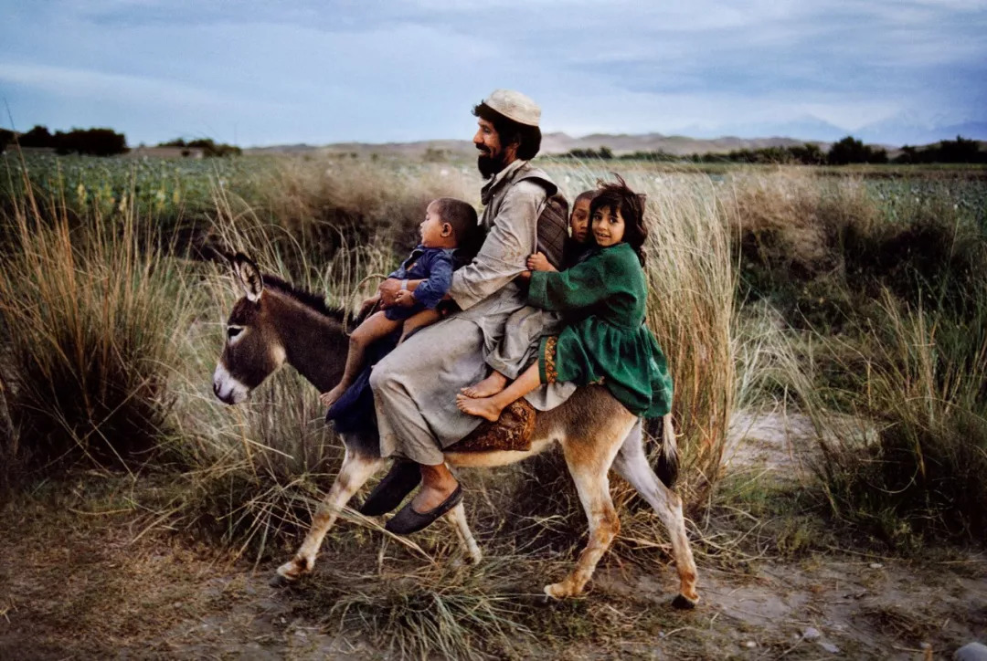 肖像大师steve mccurry,一张照片一个故事