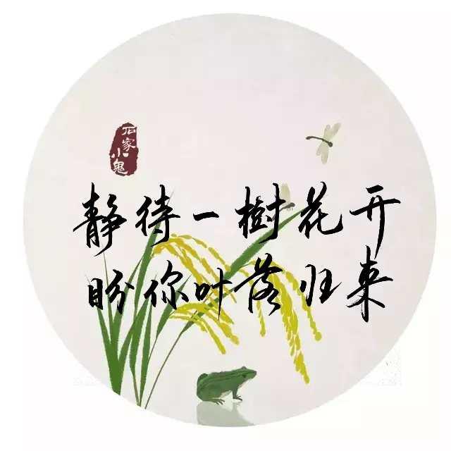 静待花开微信图片