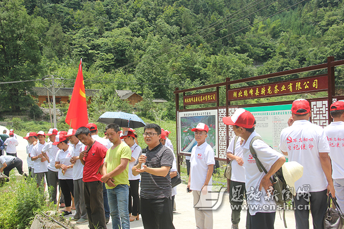 王福甜向来自湖南的考察队介绍龚家垭甘溪坪有机茶基地建设情况.