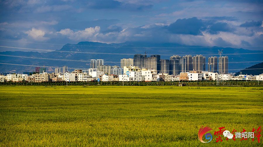 盐城市永丰镇图片