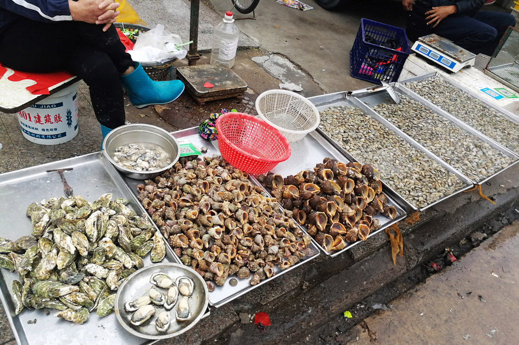华南海鲜市场野味图片图片