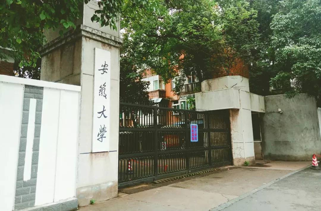 安徽大学史河路校区图片